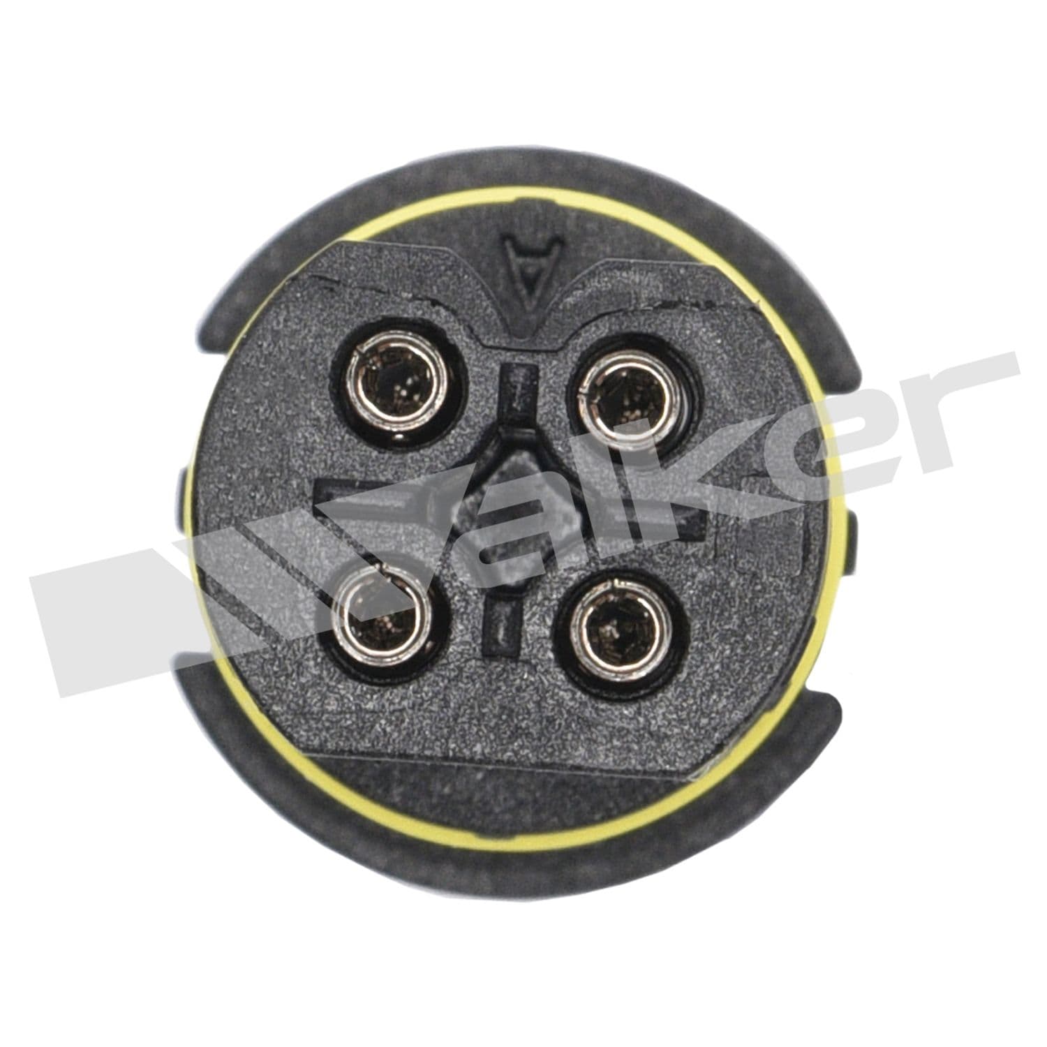 226-250-24469 - Image 3