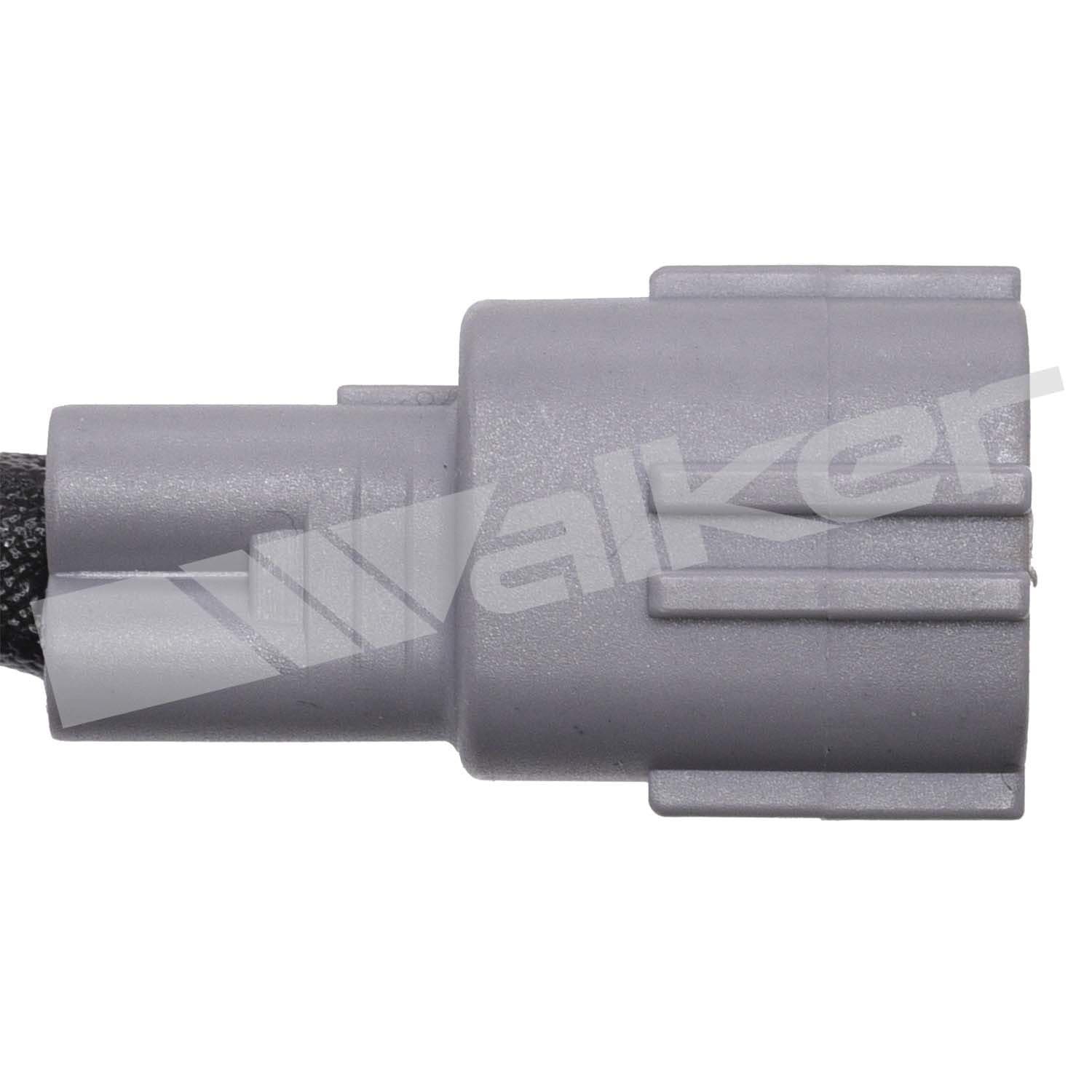 226-250-241295 - Image 3