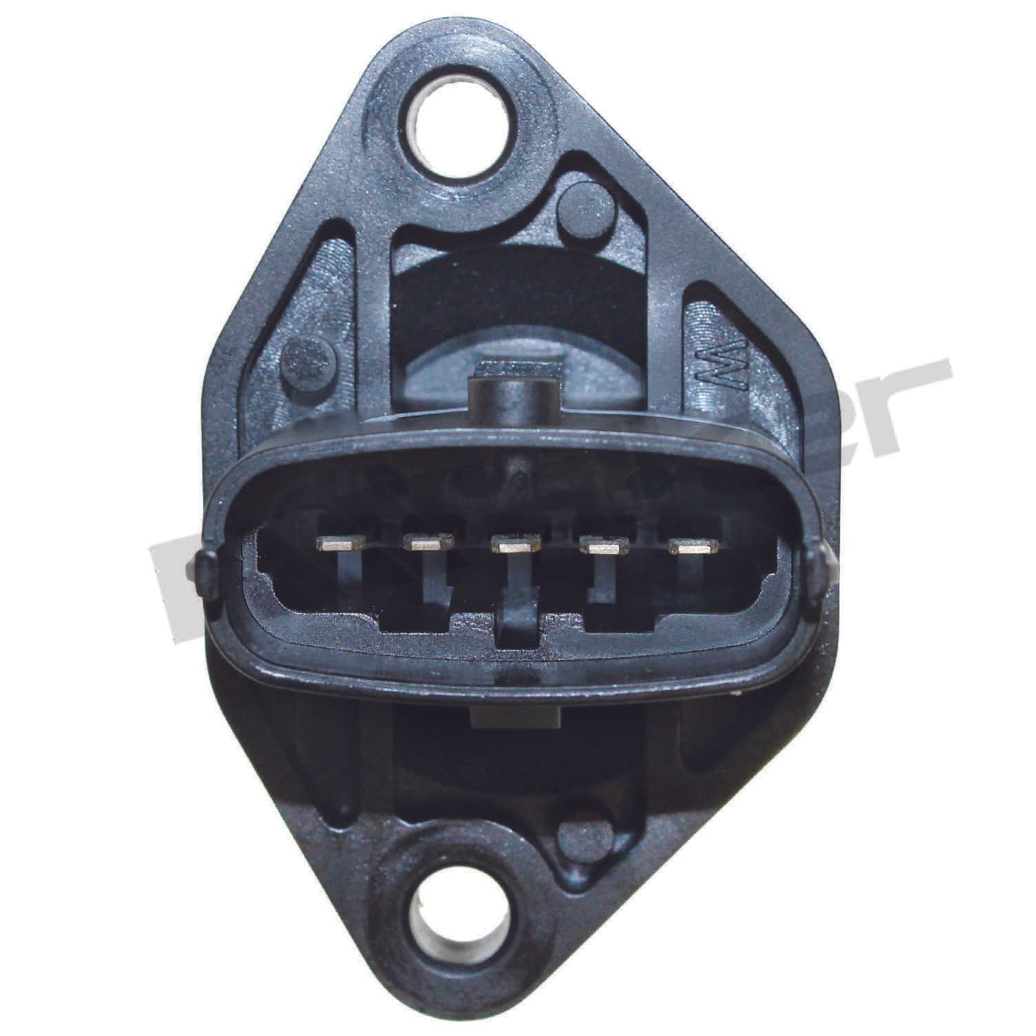 226-245-2144 - Image 3