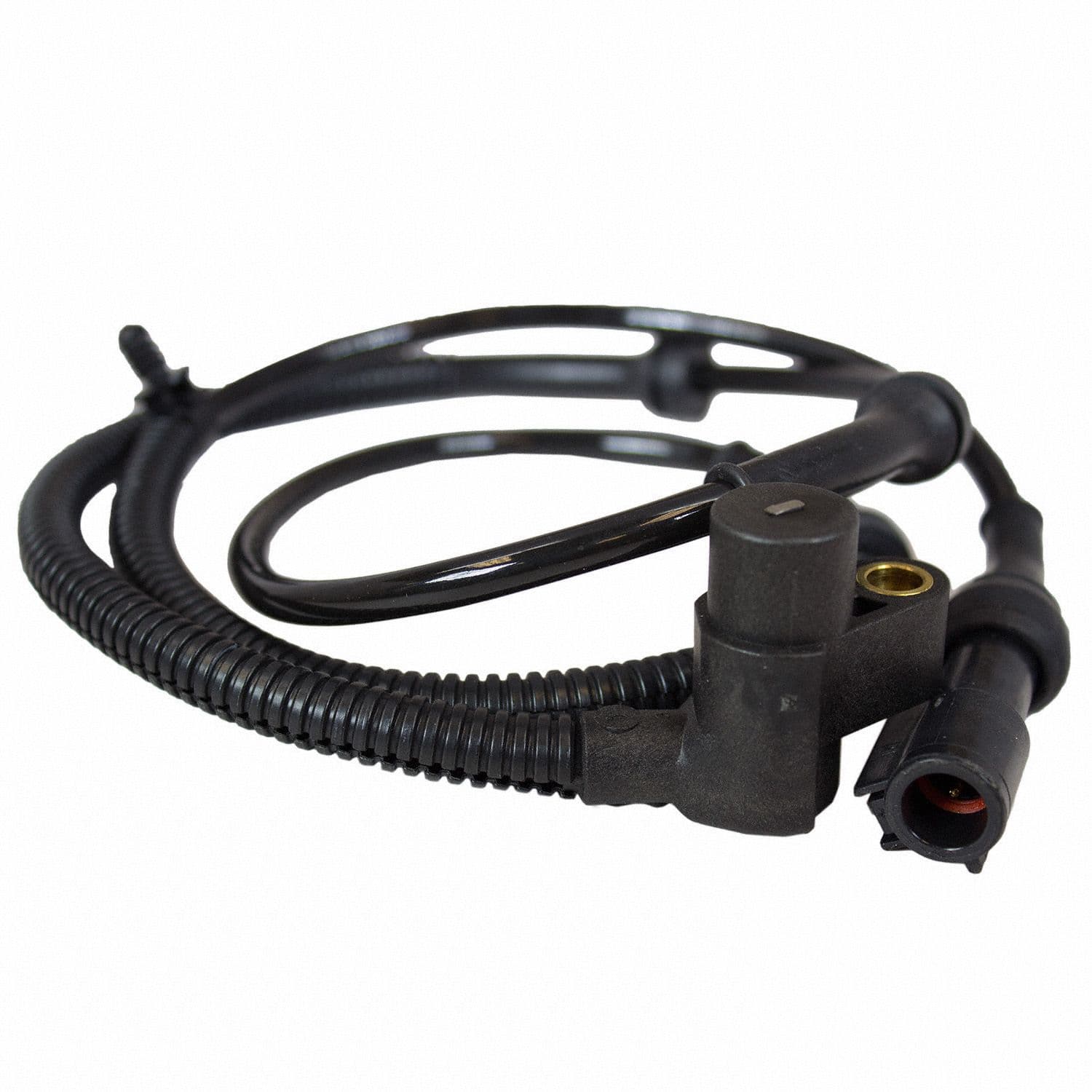 317-BRAB-103 - Image 2