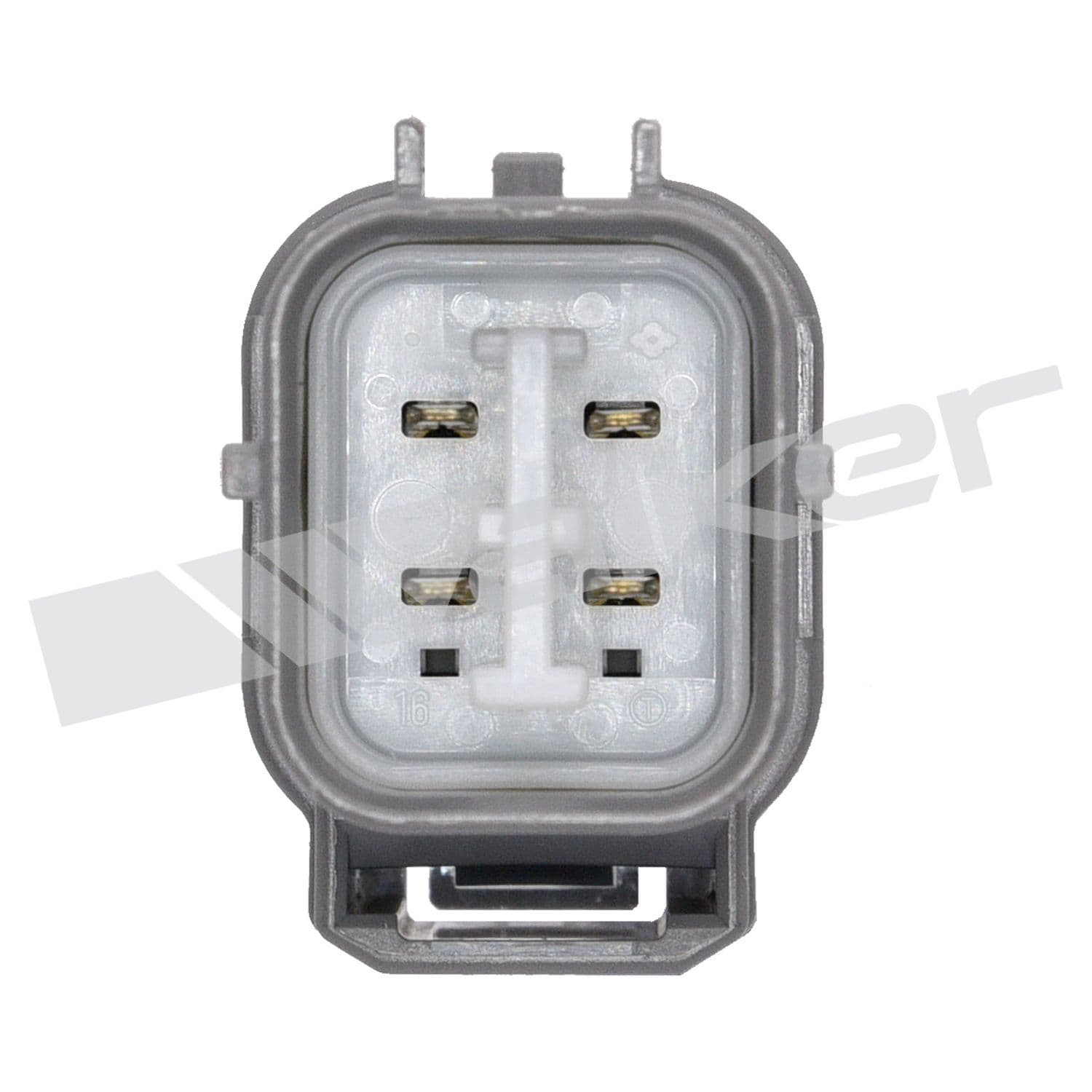 226-250-241042 - Image 4