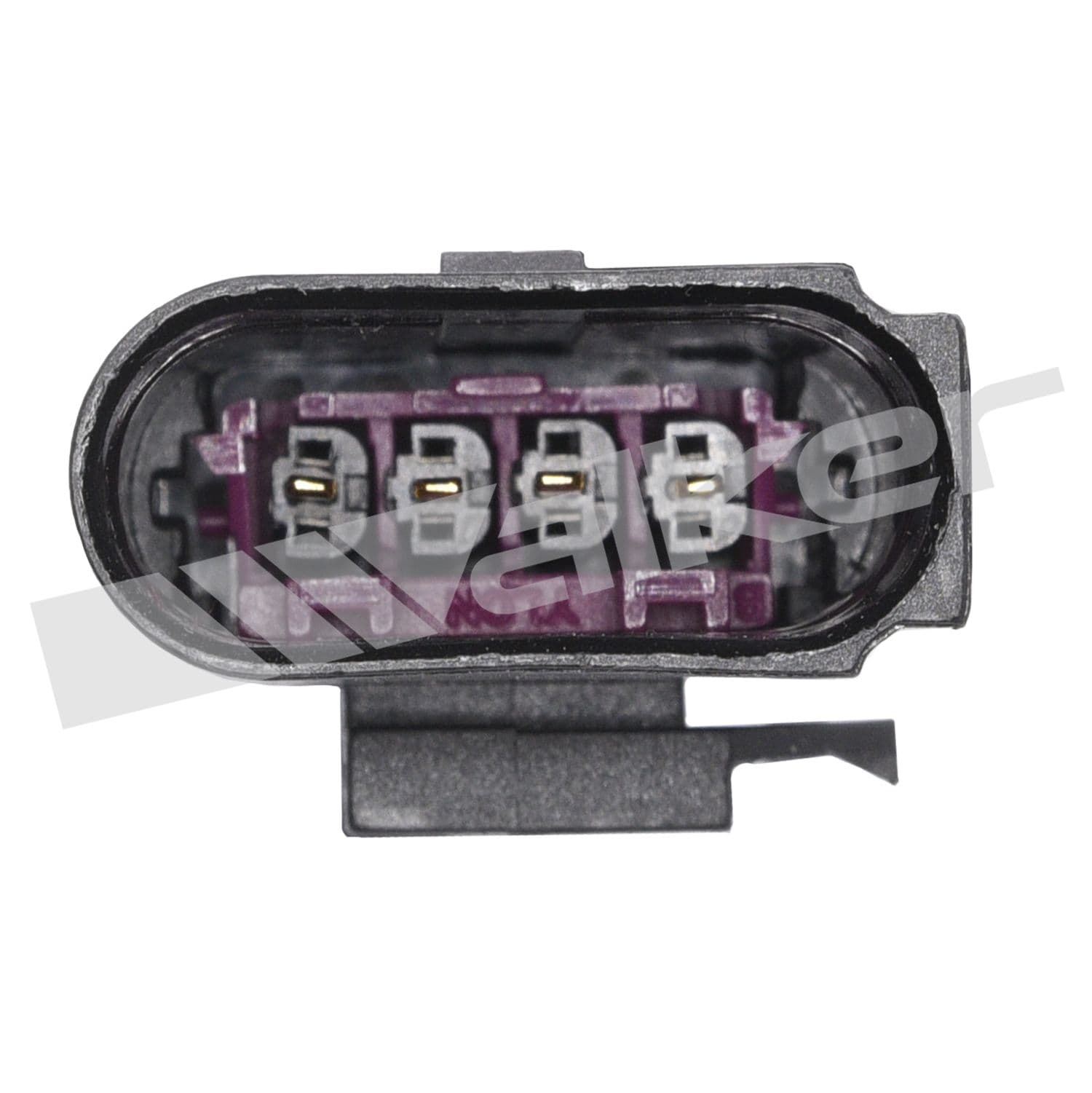 226-250-24717 - Image 4