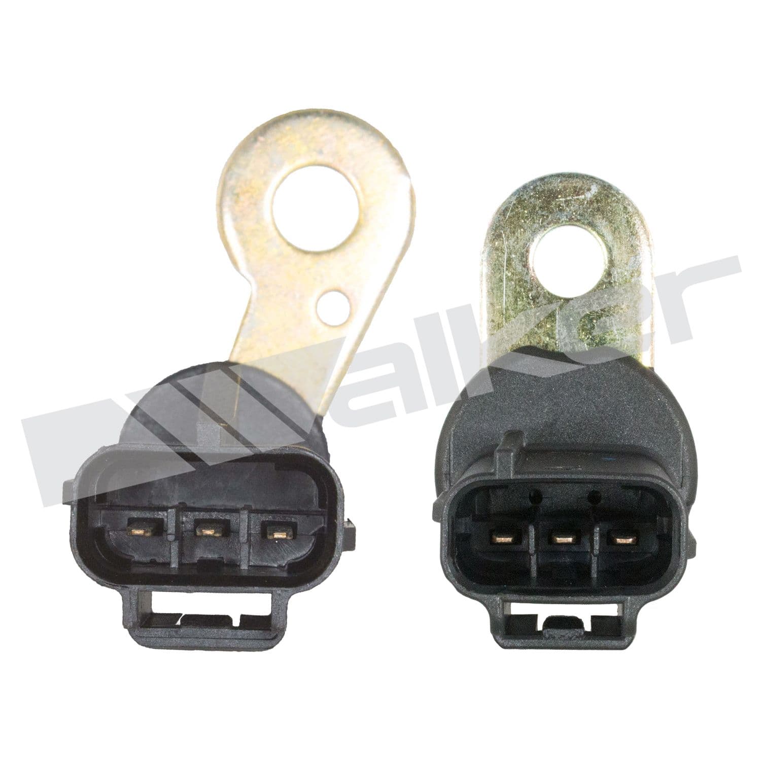 226-235-2369 - Image 4