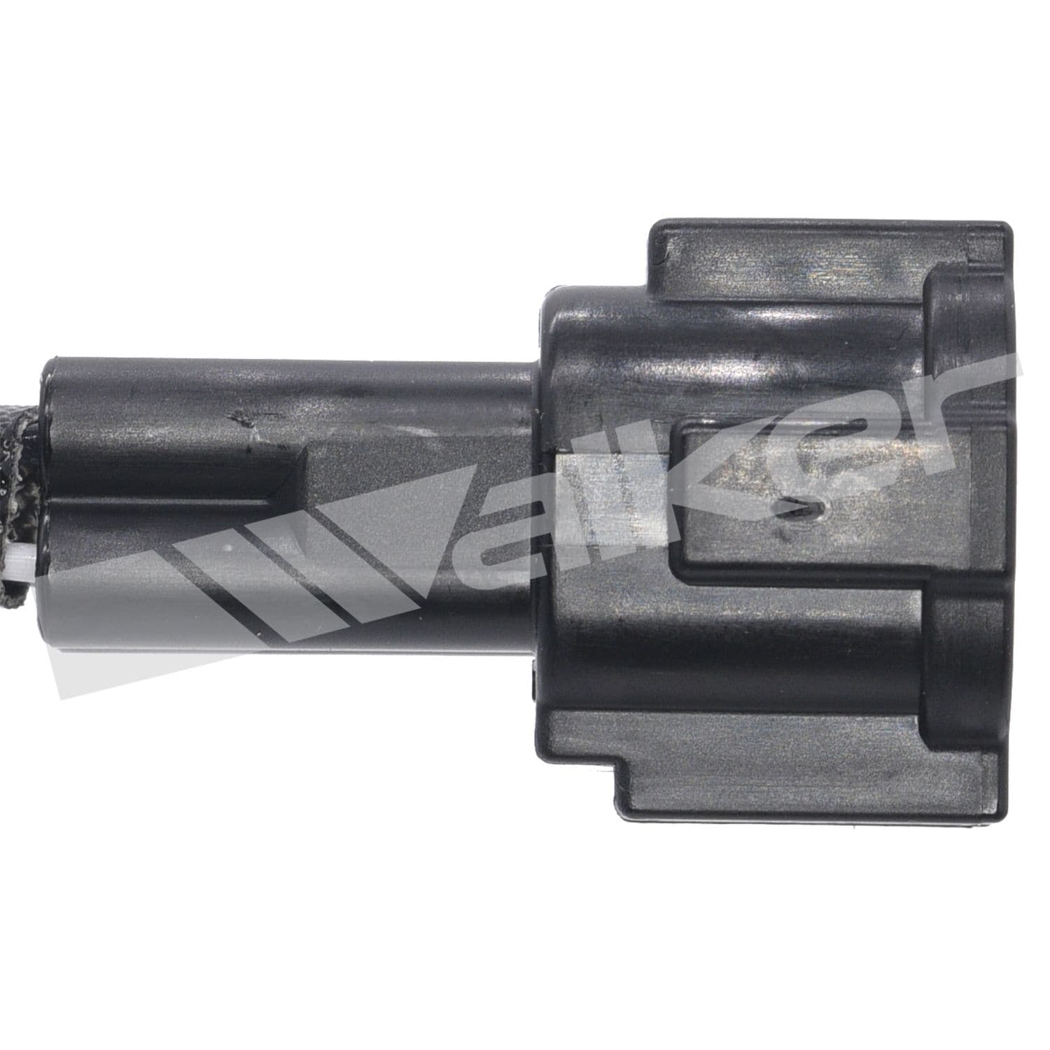 226-250-24868 - Image 3