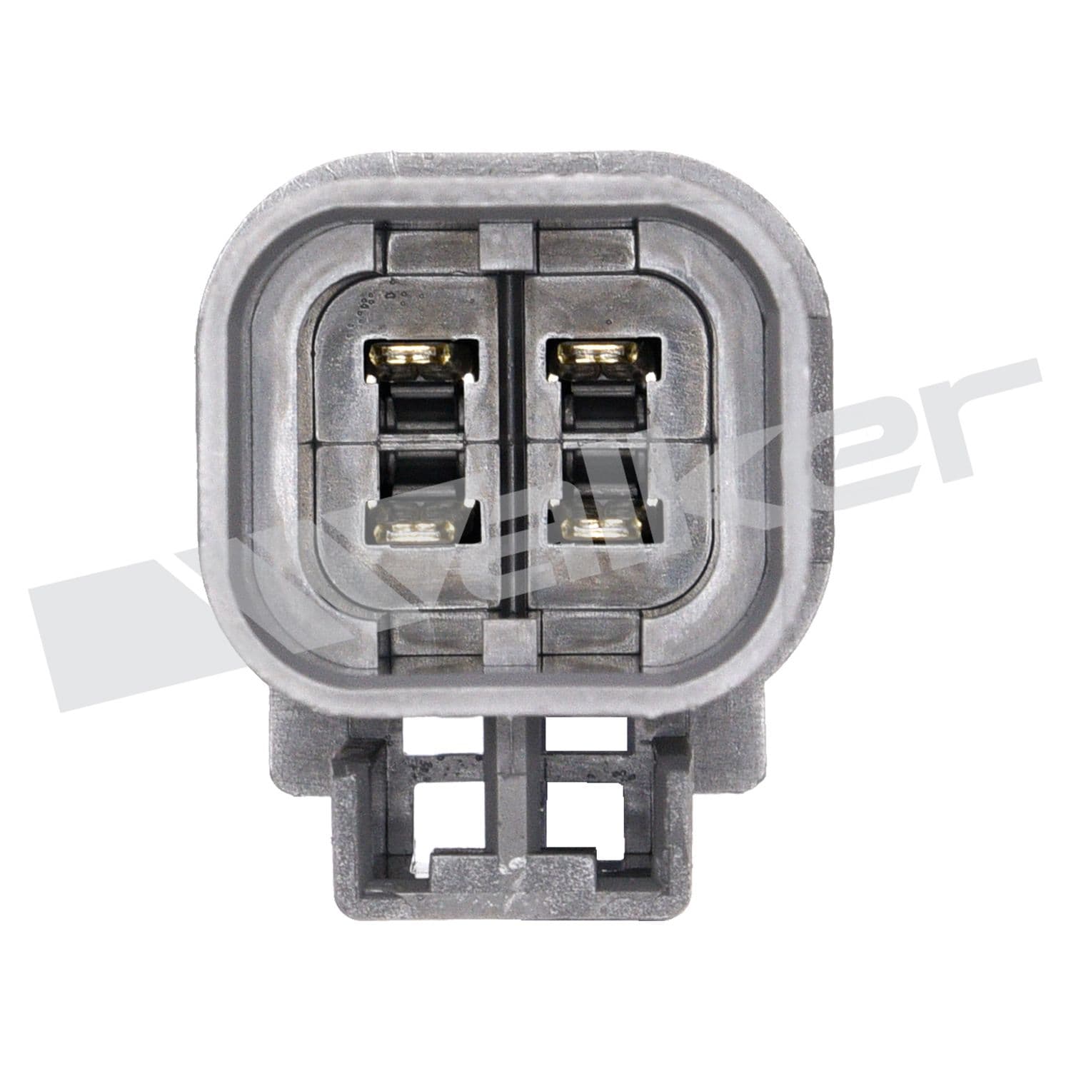 226-250-24101 - Image 4