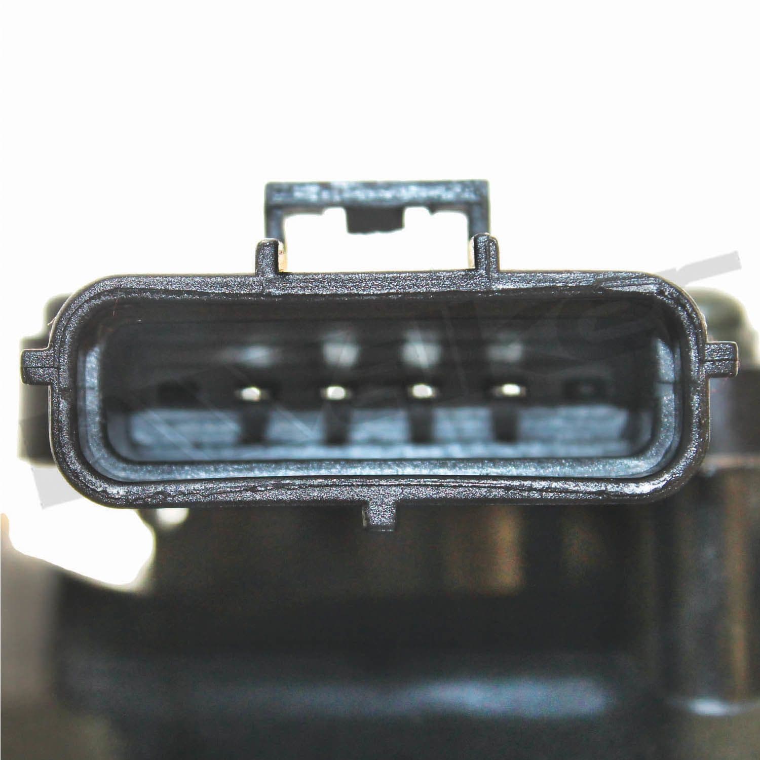 226-245-1191 - Image 4