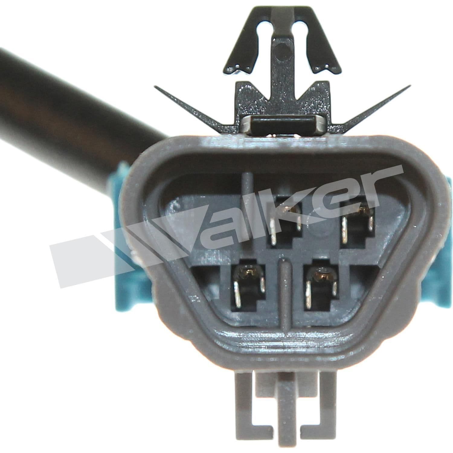 226-250-241189 - Image 3