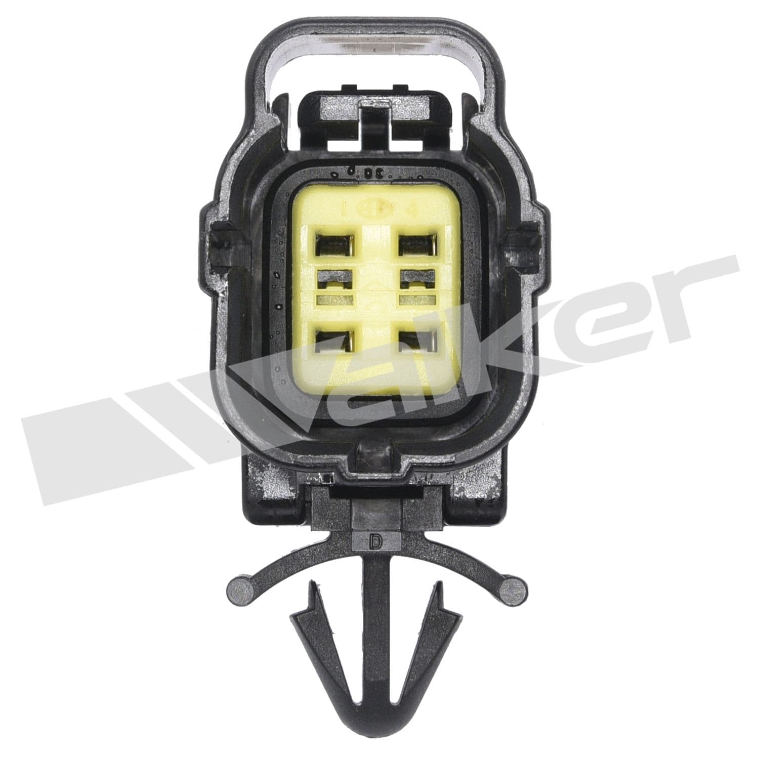 226-250-24629 - Image 3