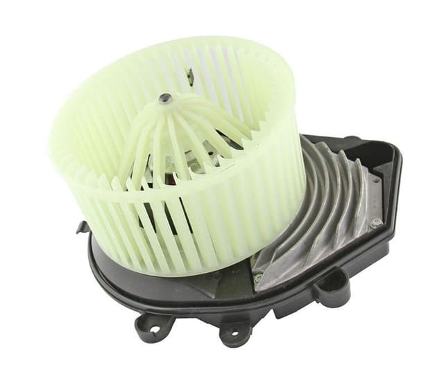 category-219-87028182