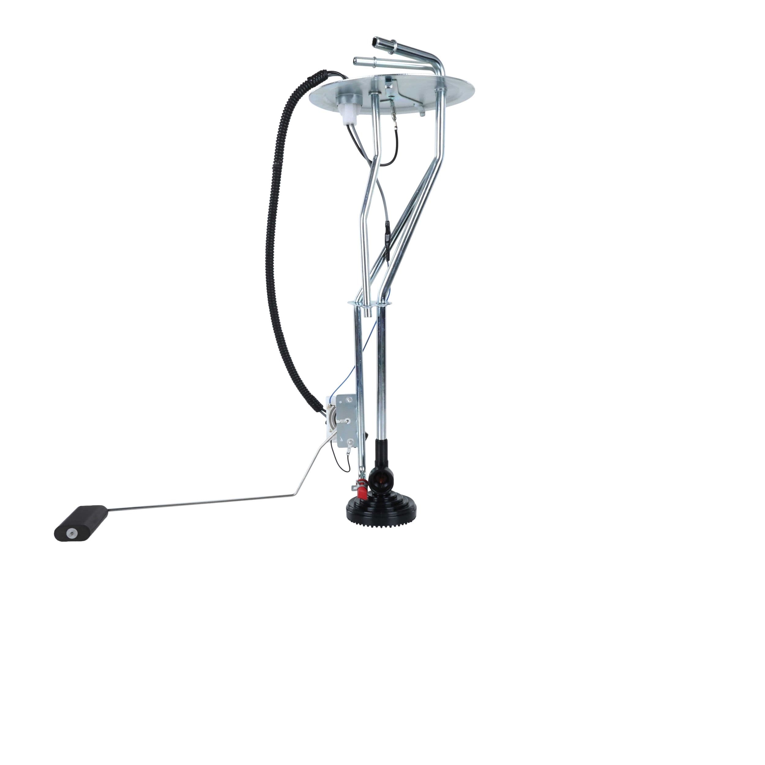 353-FL0482 - Image 2