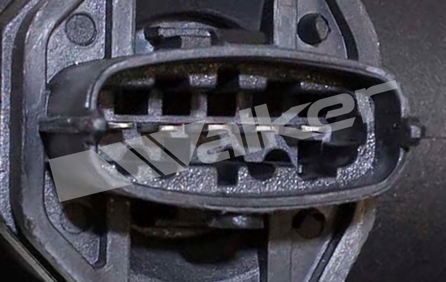 226-245-1111 - Image 3