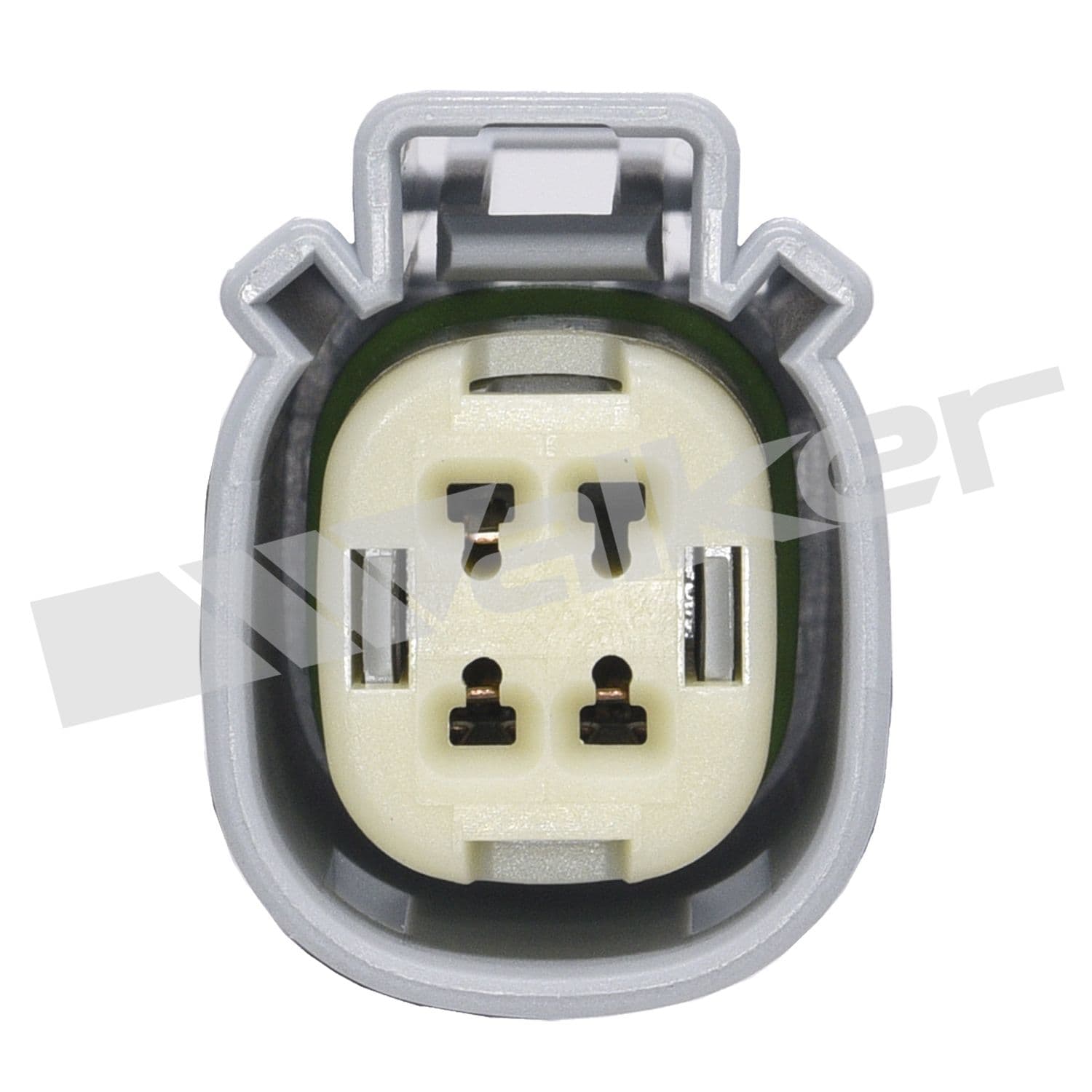 226-250-241221 - Image 4