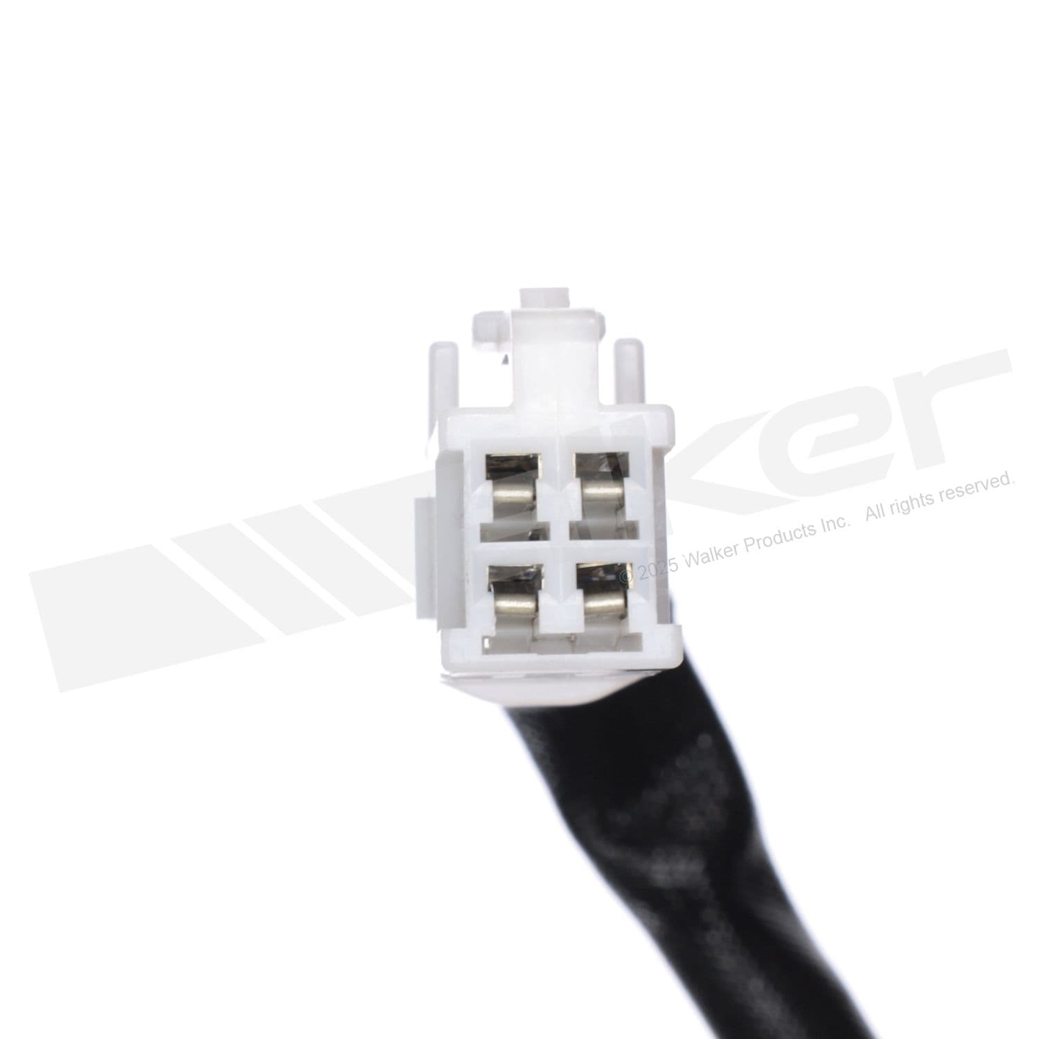 226-250-54138 - Image 2