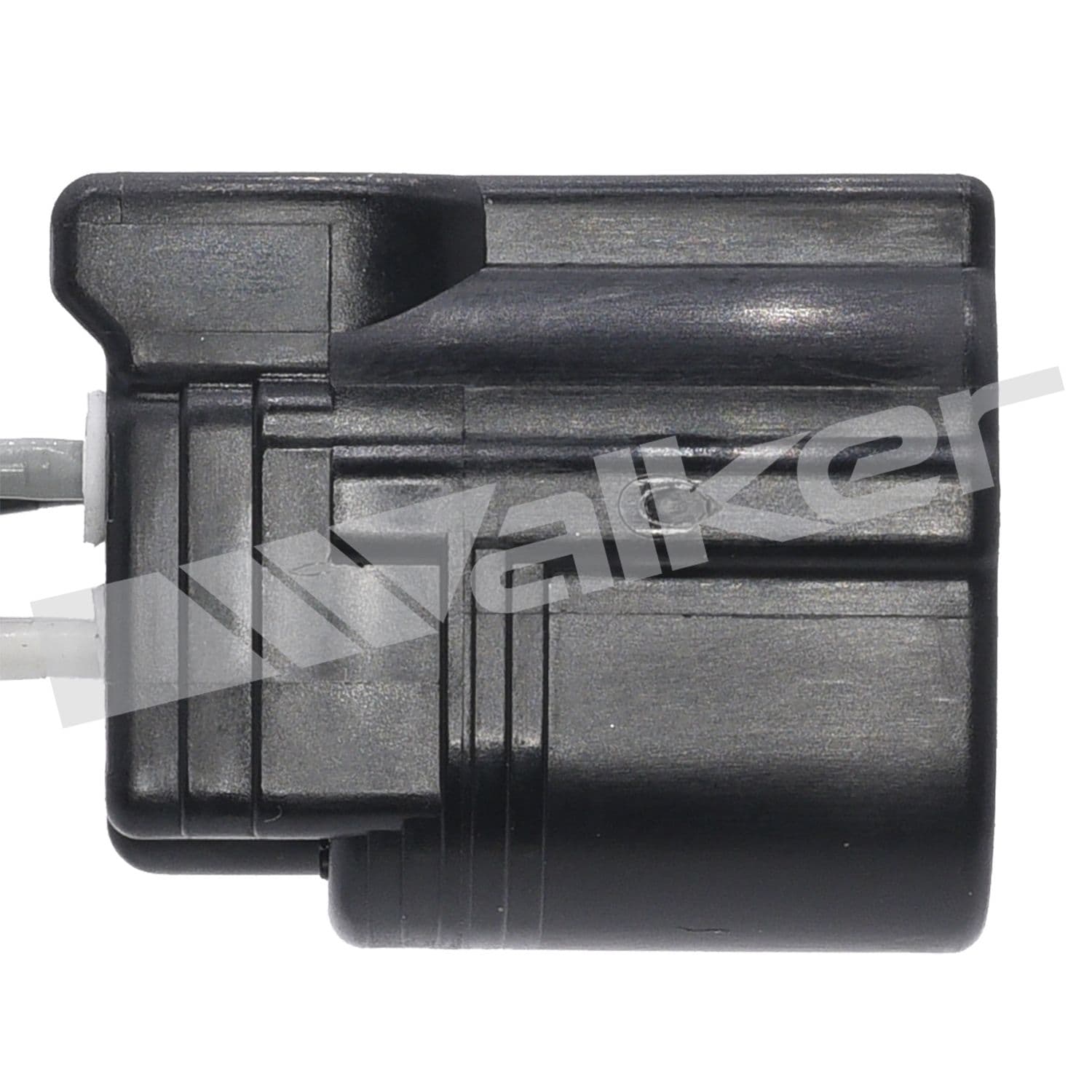 226-350-341077 - Image 4