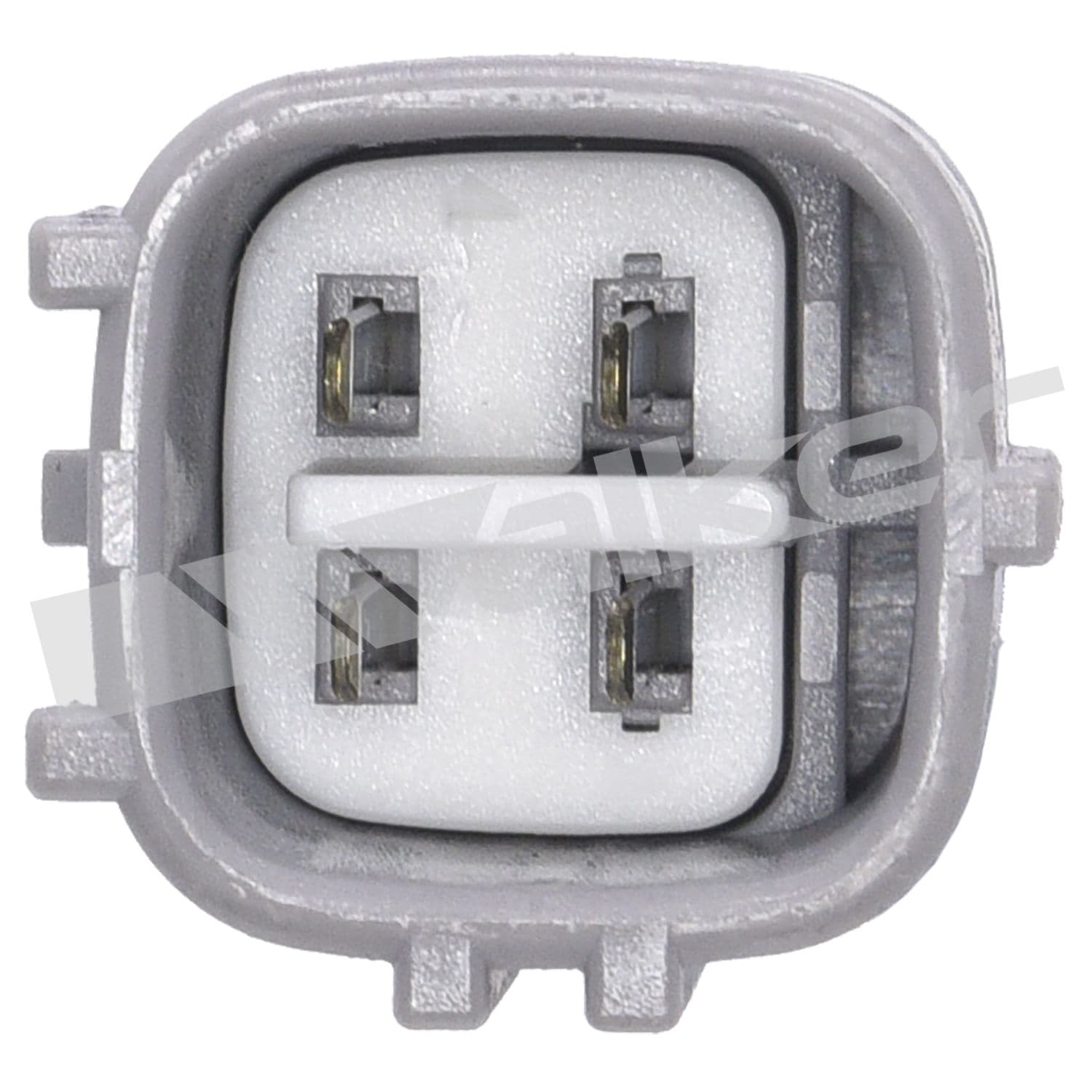 226-350-64079 - Image 2