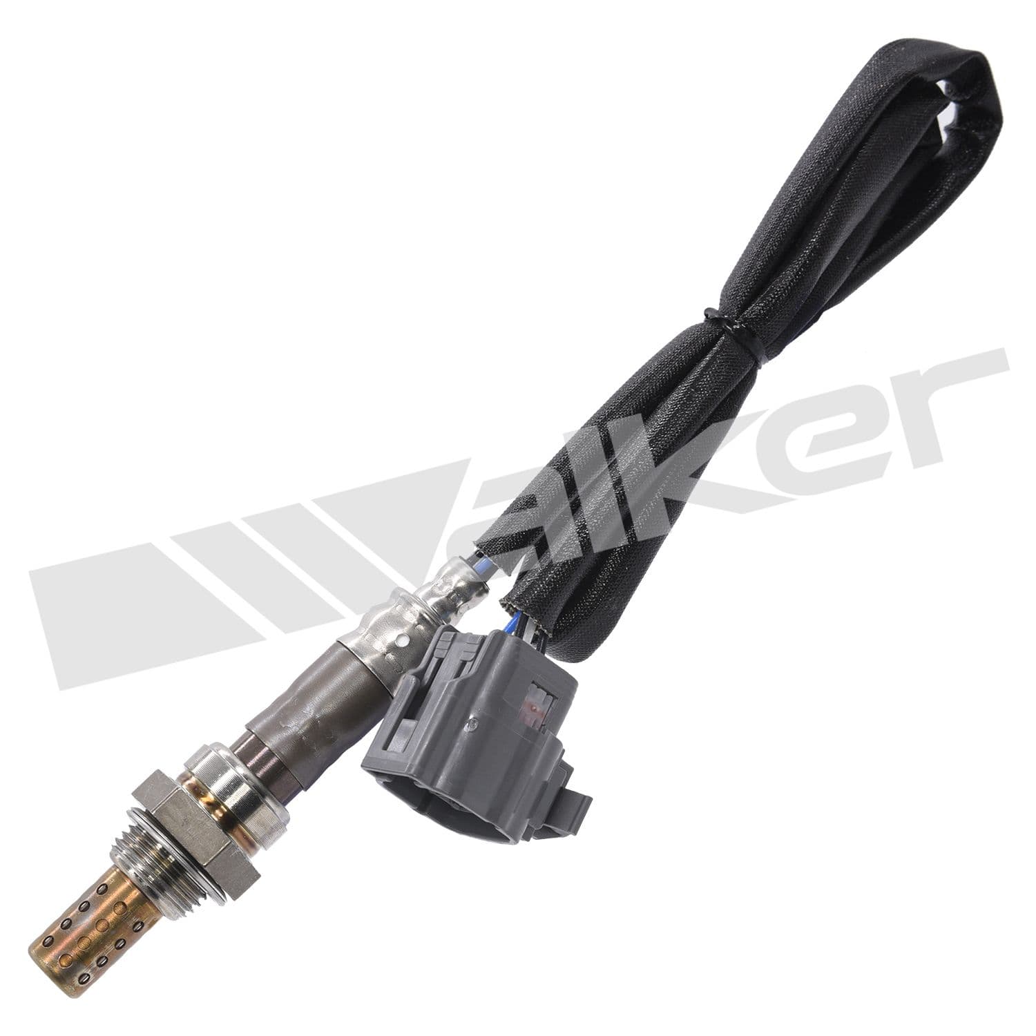 226-250-24732 - Image 1