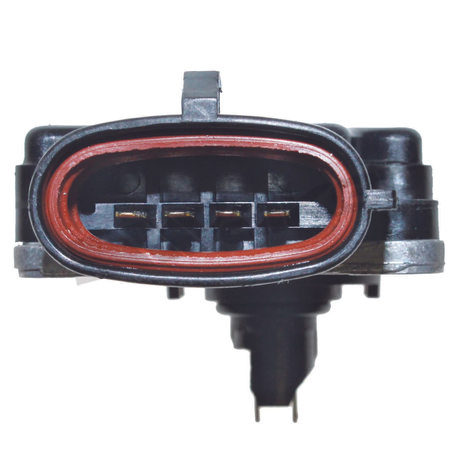 226-245-2086 - Image 4