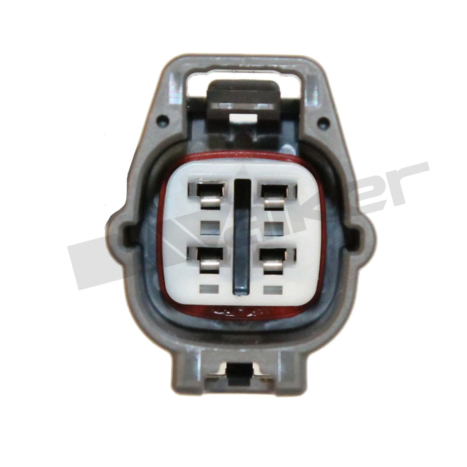 226-350-341006 - Image 4