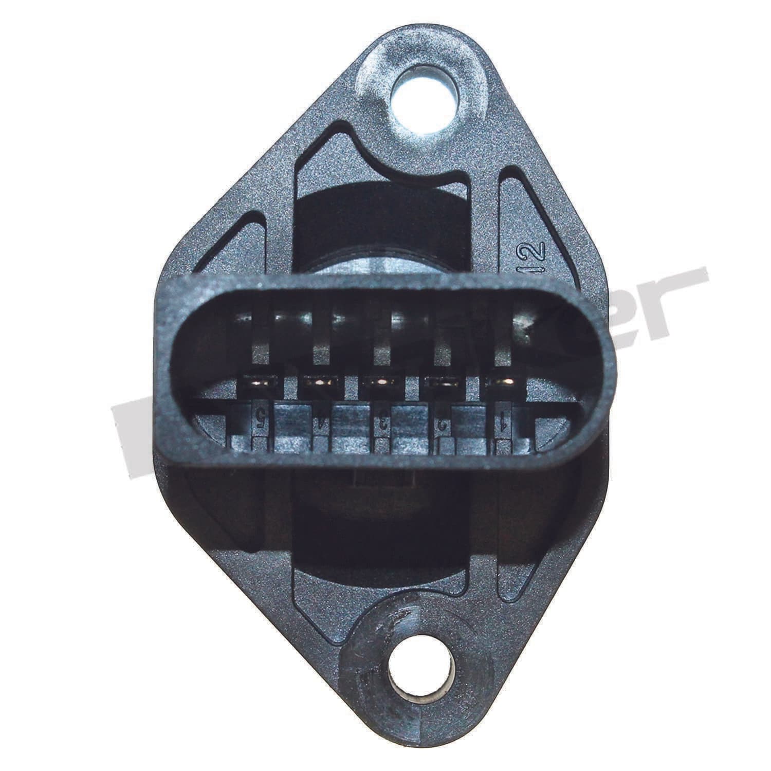 226-245-2080 - Image 3