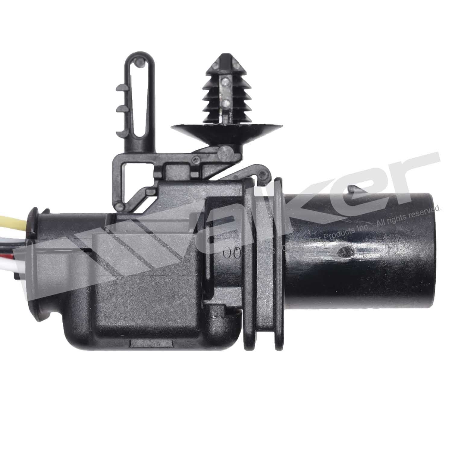 226-250-25031 - Image 4