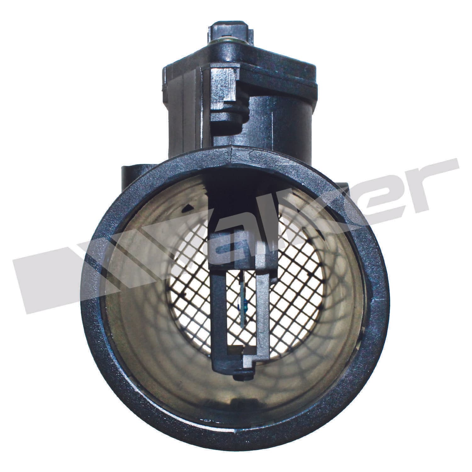 226-245-1126 - Image 3