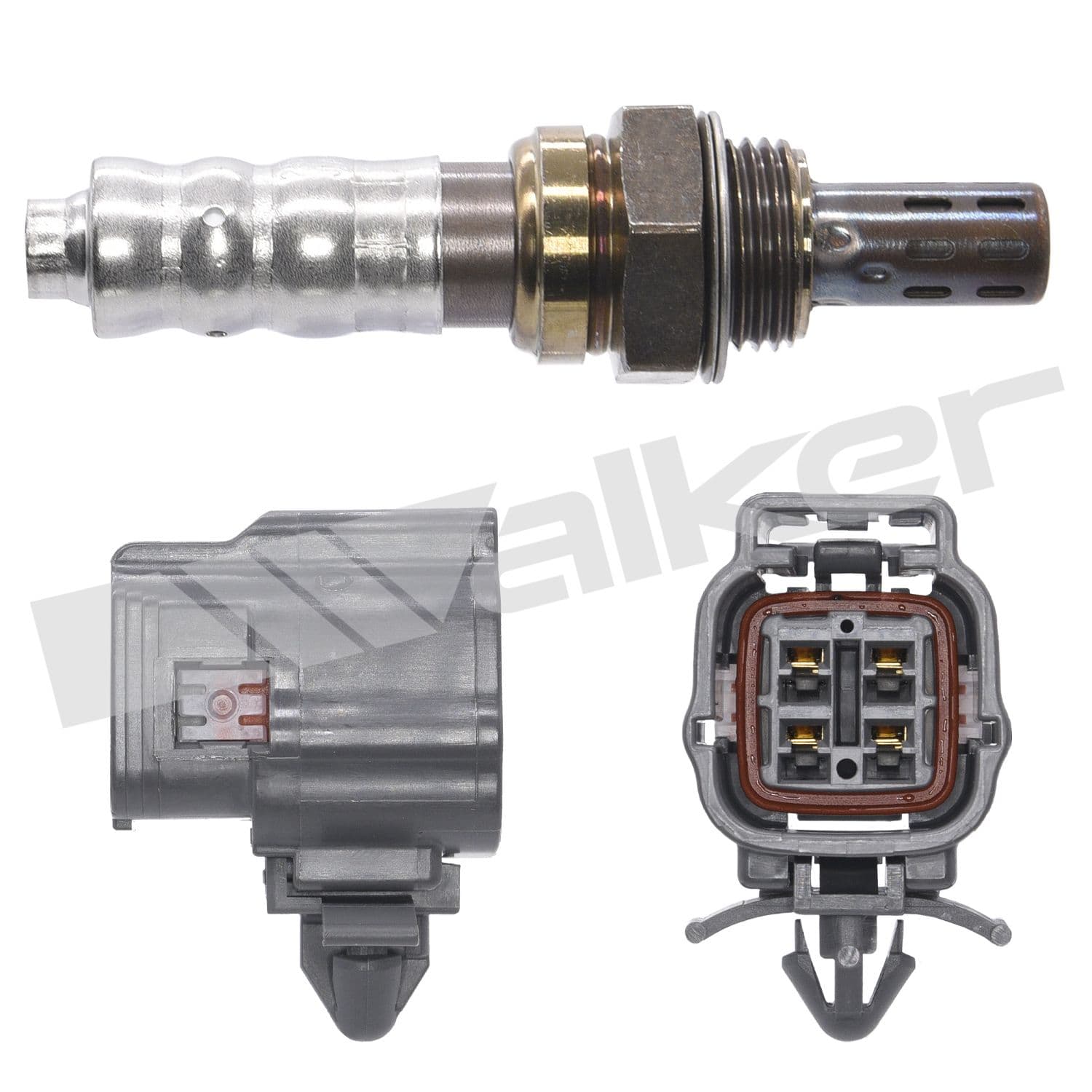 226-250-24859 - Image 3