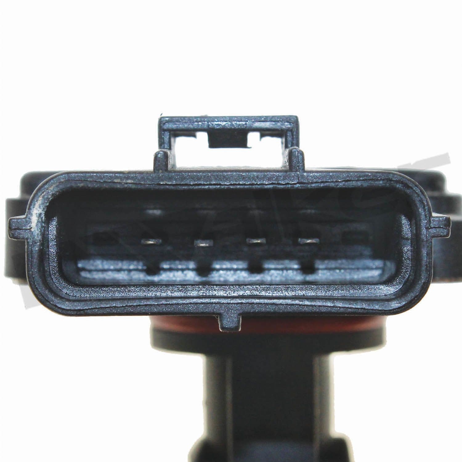 226-245-1158 - Image 3