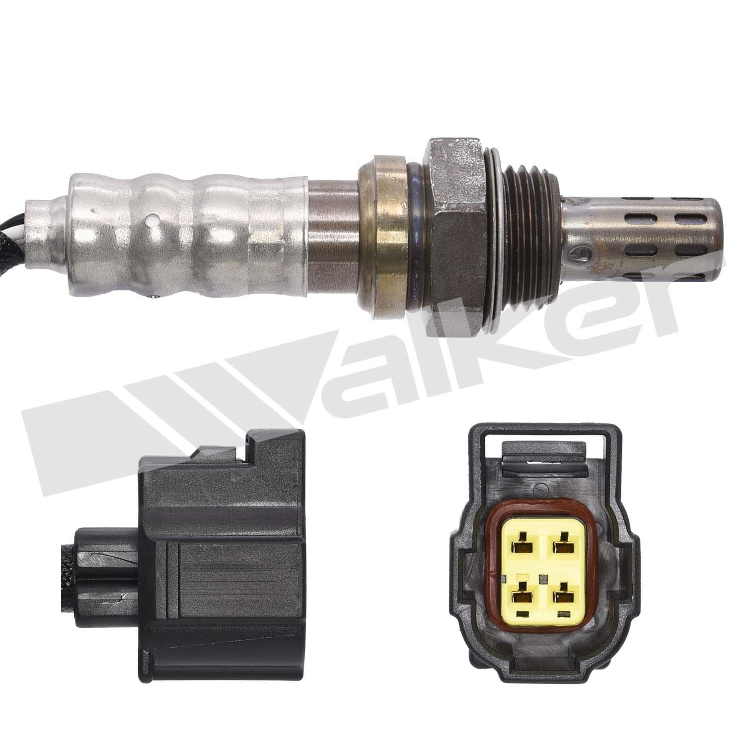 226-250-241117 - Image 3