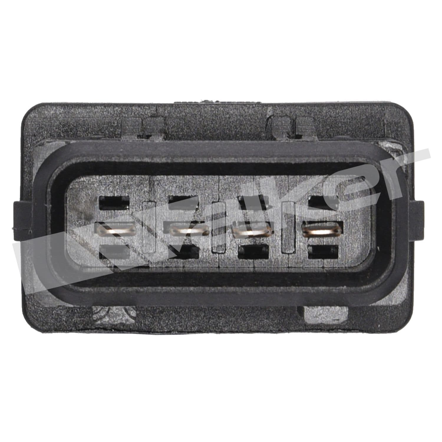 226-250-24428 - Image 4