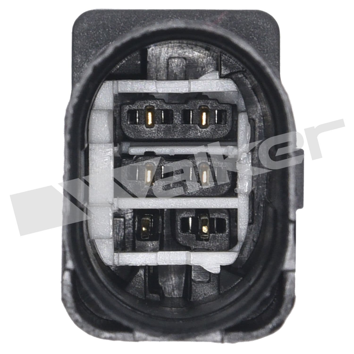 226-350-35036 - Image 4