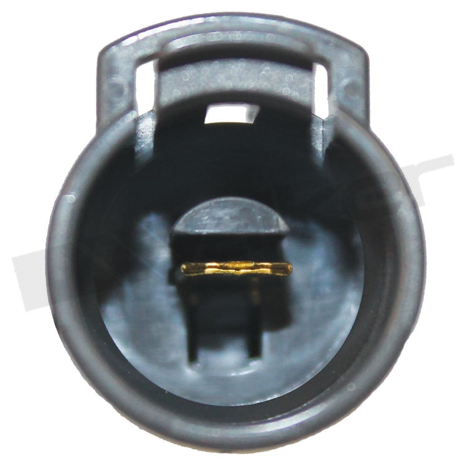 226-350-31031 - Image 4