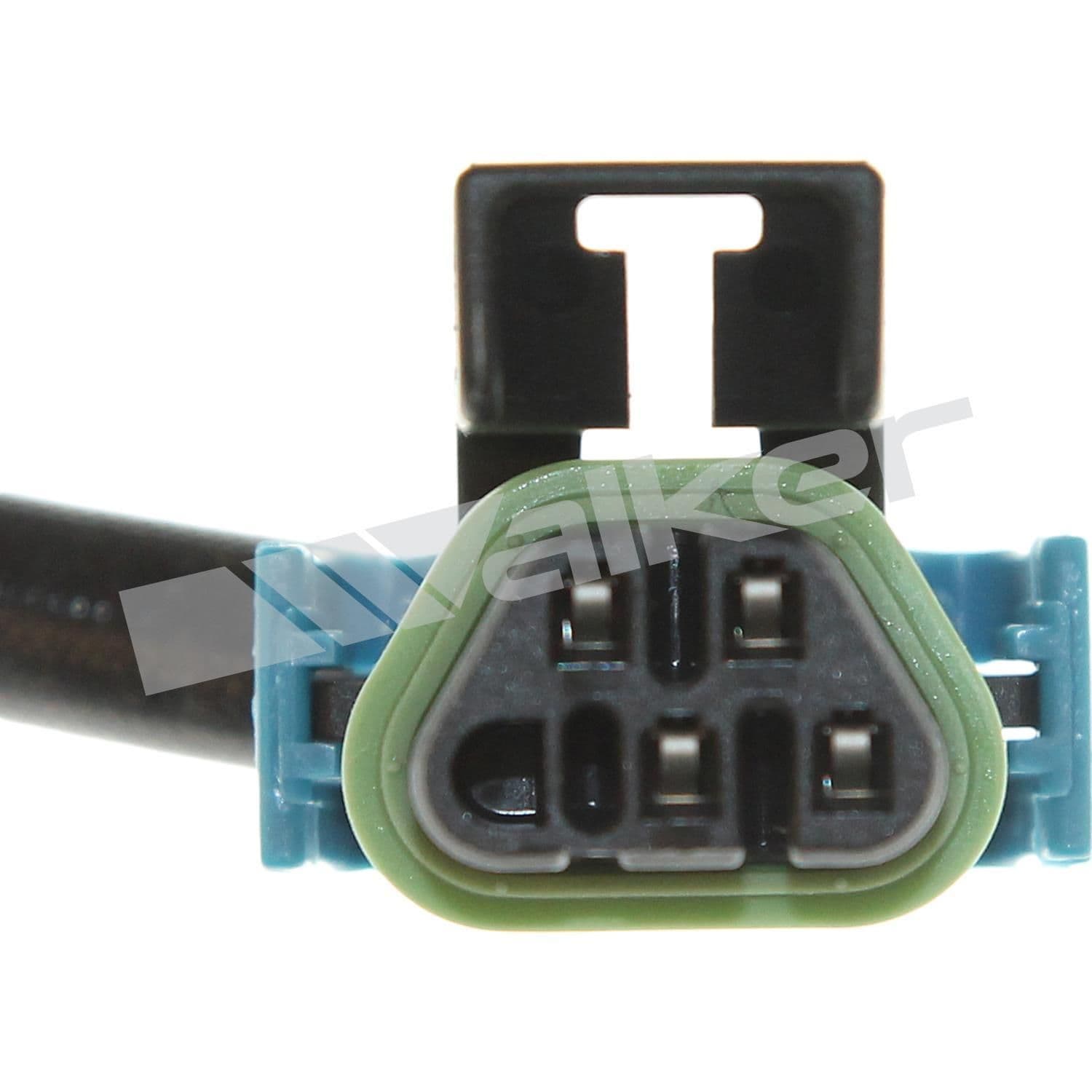 226-250-241187 - Image 3