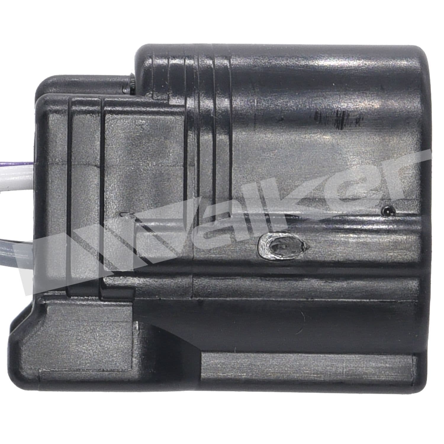 226-250-24833 - Image 4