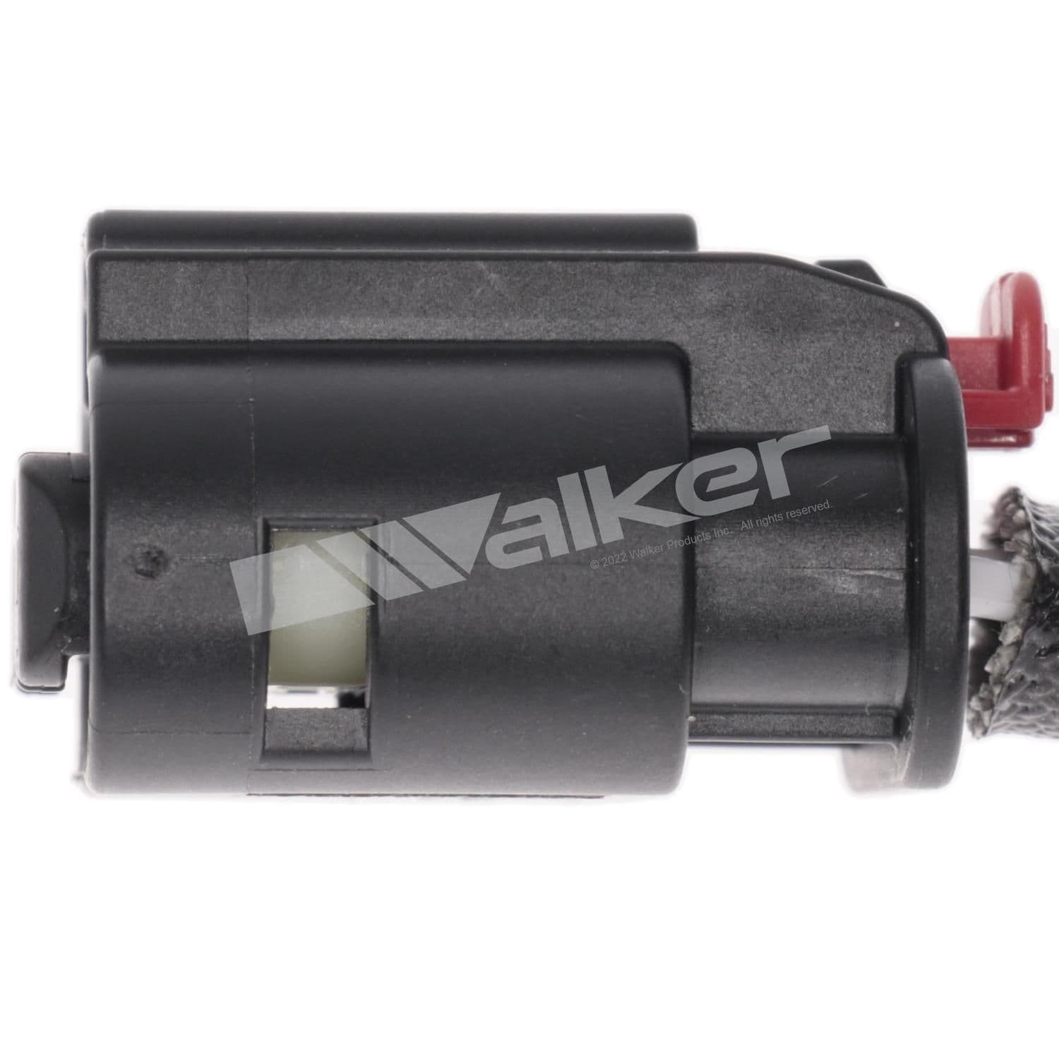 226-250-241318 - Image 4