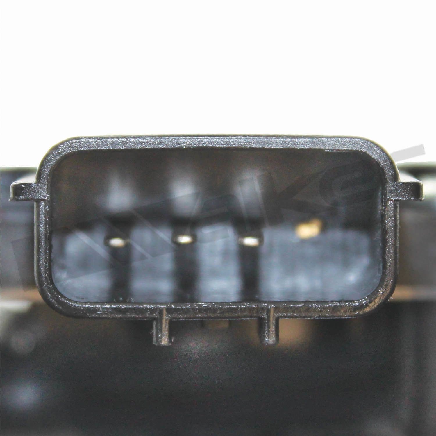 226-245-1135 - Image 4