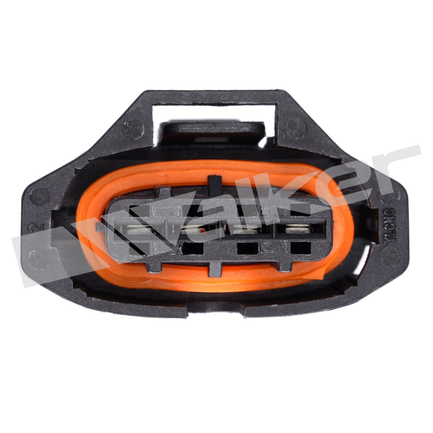 226-250-24612 - Image 3