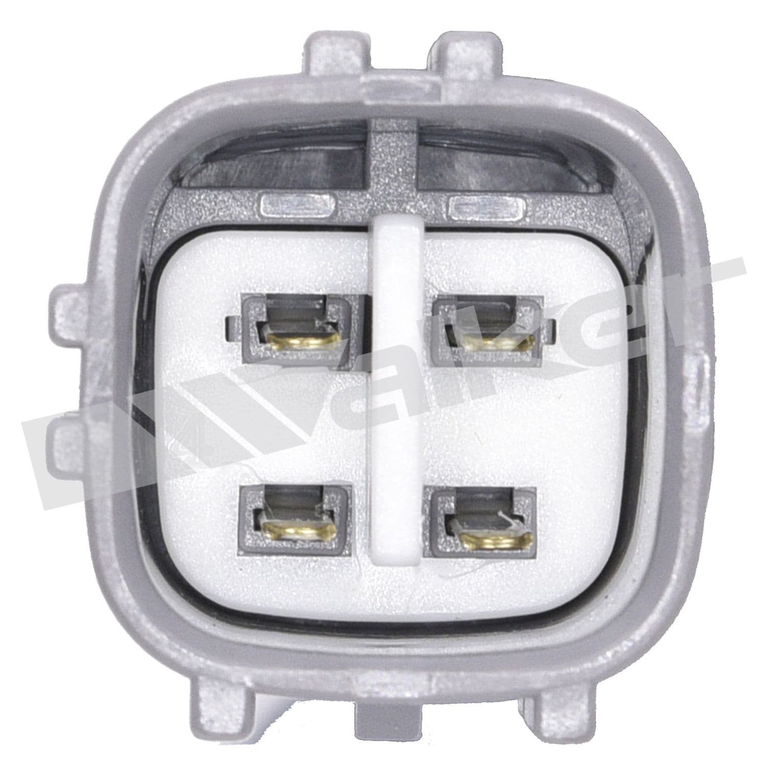 226-250-24153 - Image 4