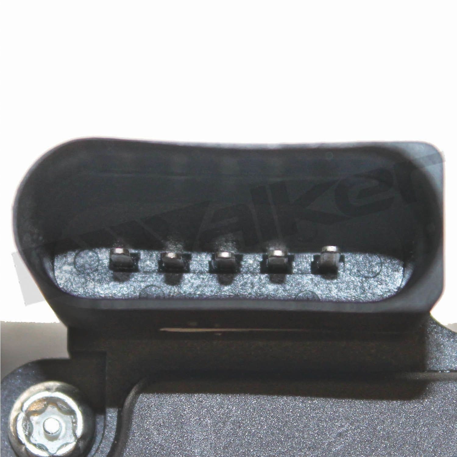 226-245-1168 - Image 3