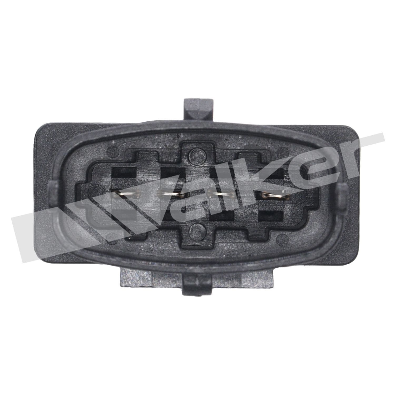 226-250-24847 - Image 3