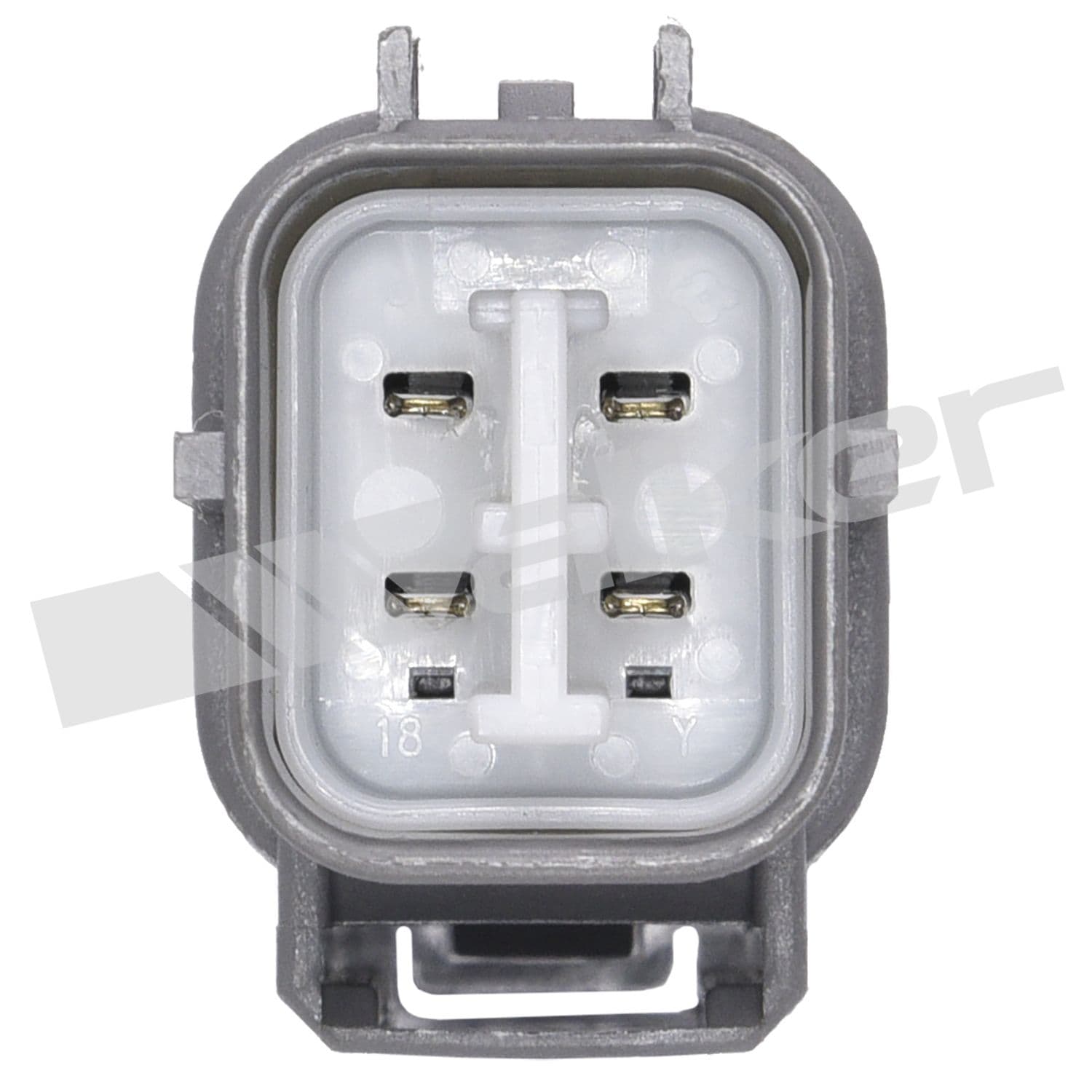 226-250-24347 - Image 2