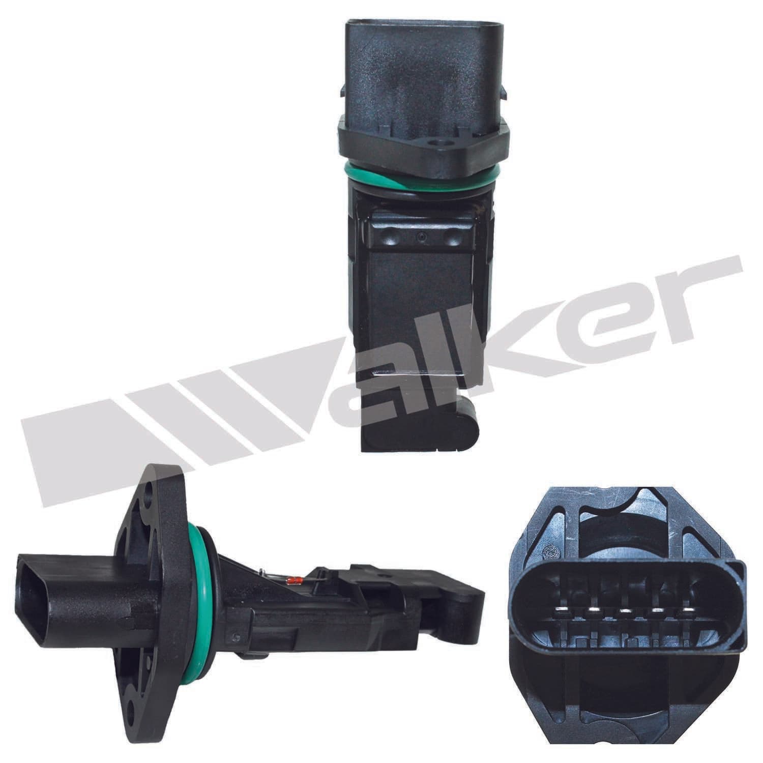 226-245-1234 - Image 2