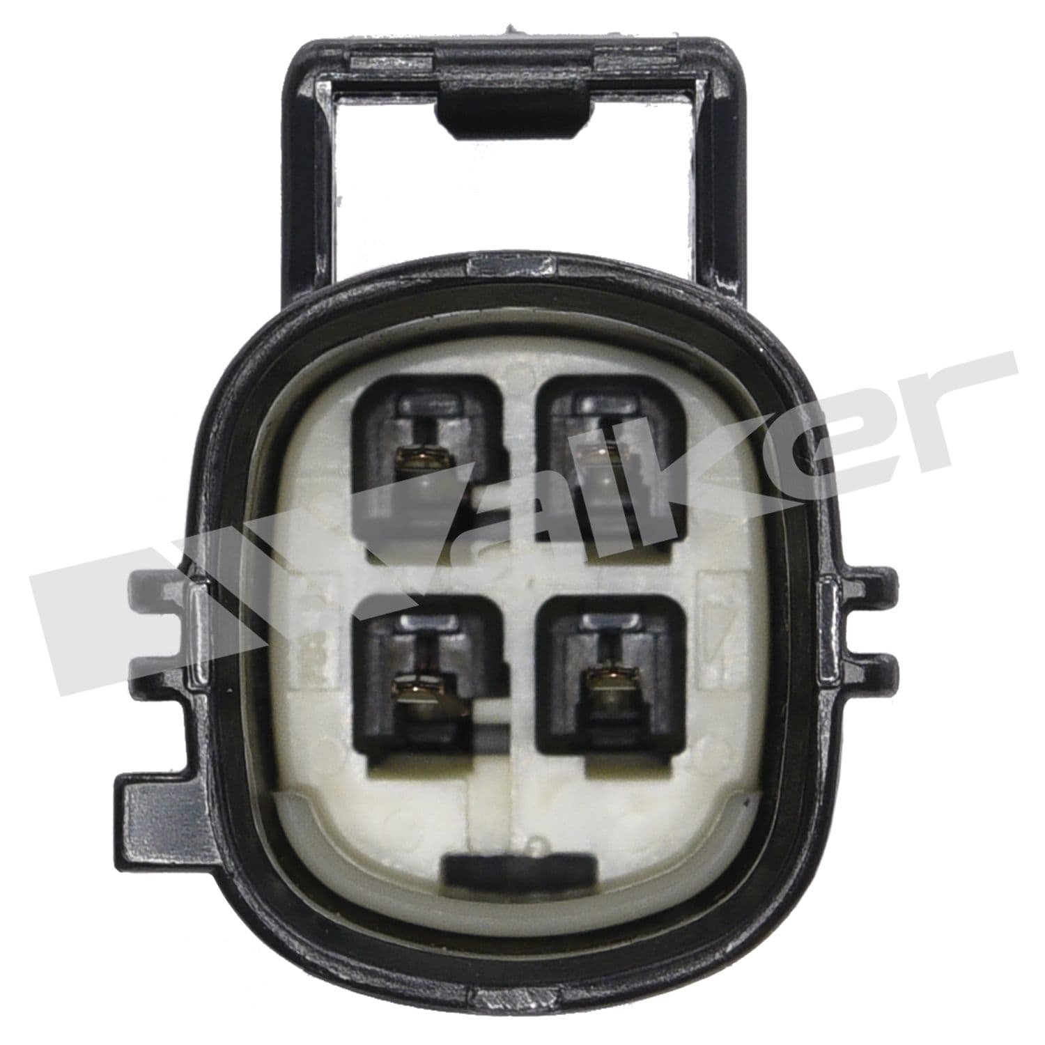 226-250-241231 - Image 3