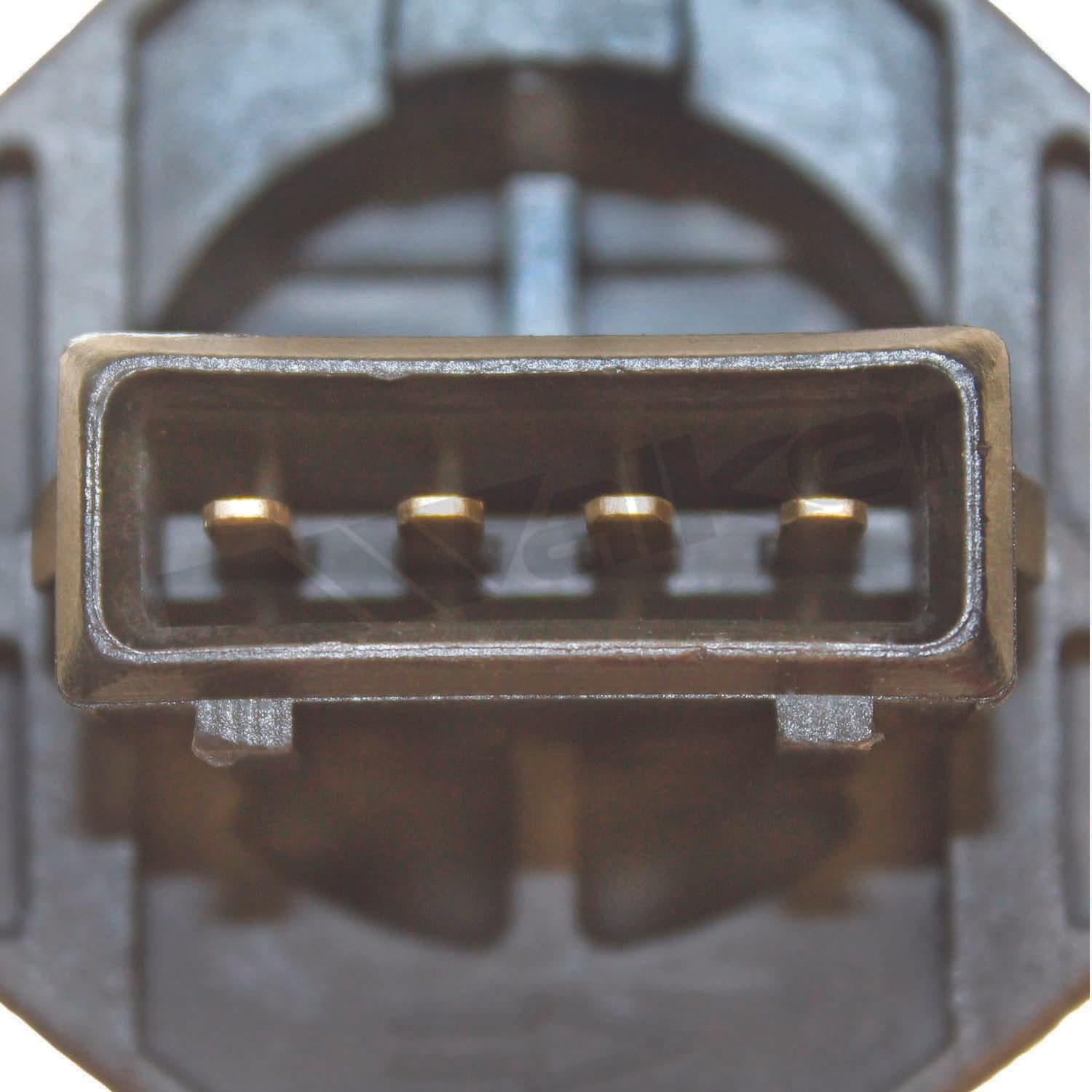 226-245-2083 - Image 3