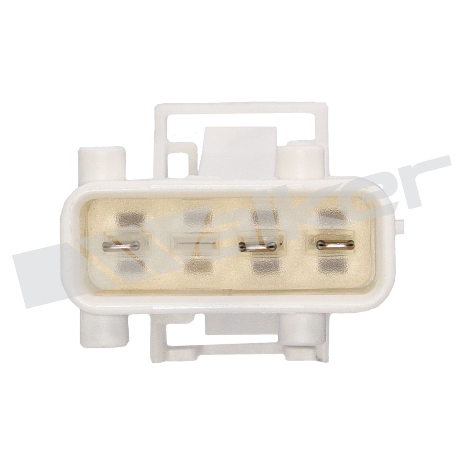 226-250-23812 - Image 3