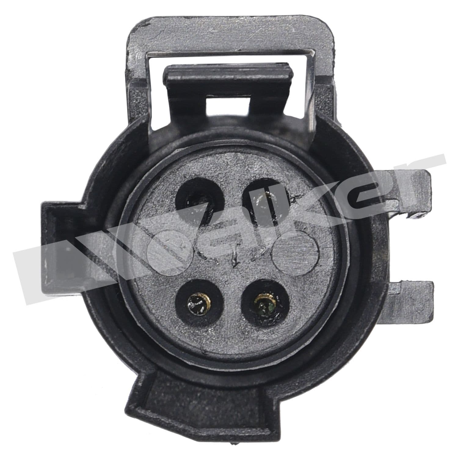 226-250-24947 - Image 3