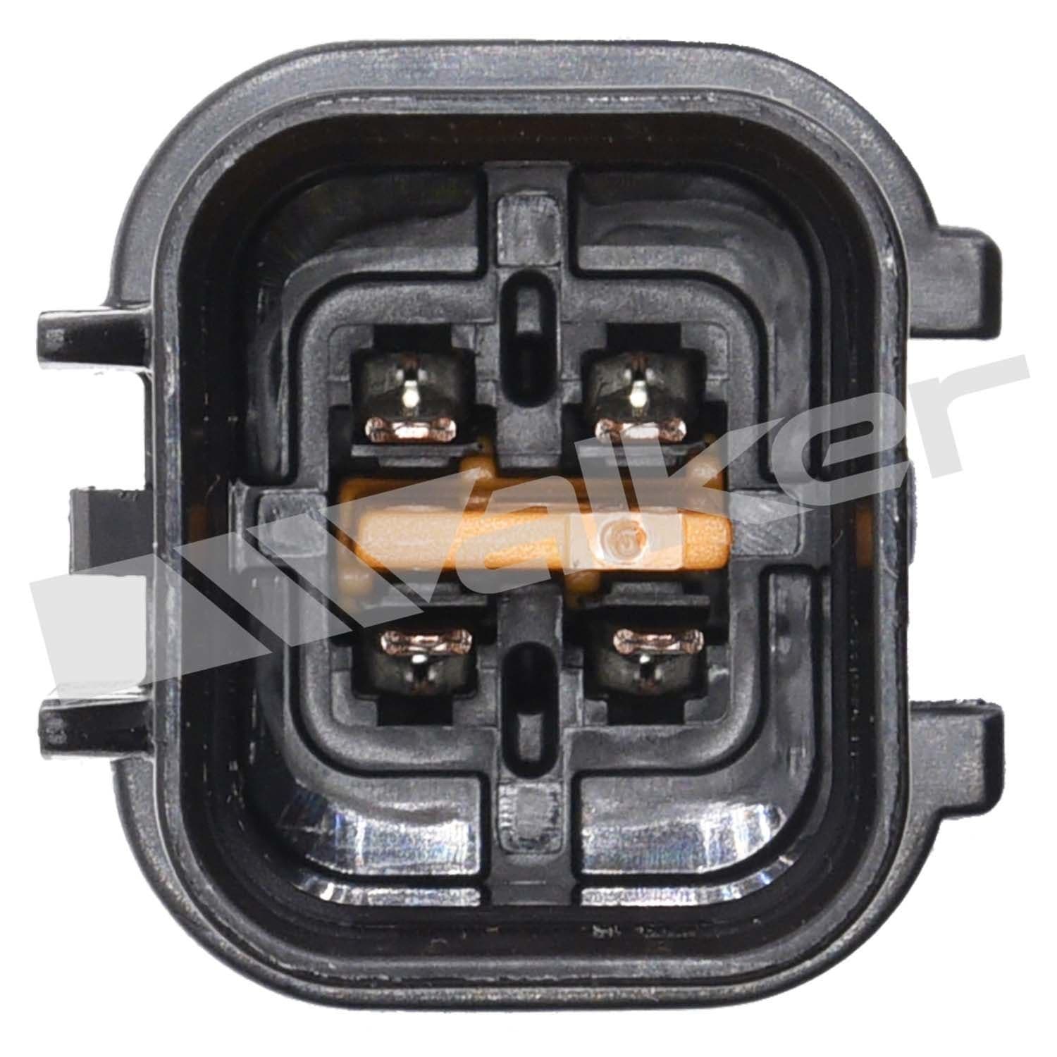 226-250-241298 - Image 4