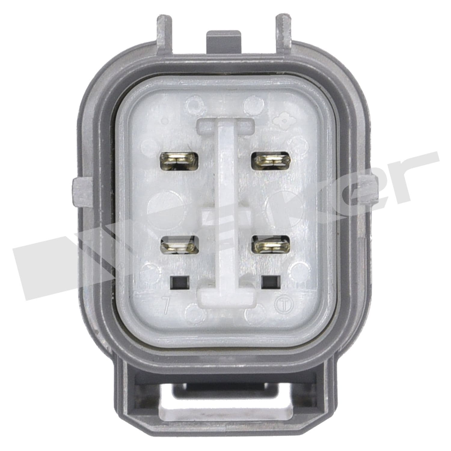 226-250-24498 - Image 4