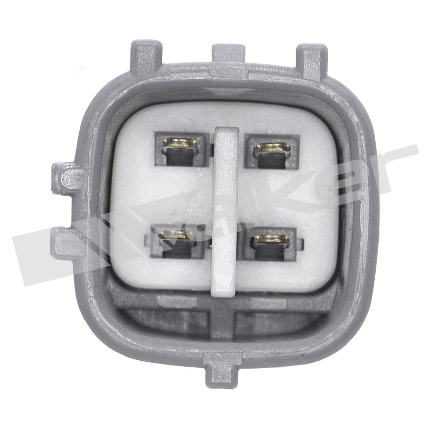 226-250-54069 - Image 3