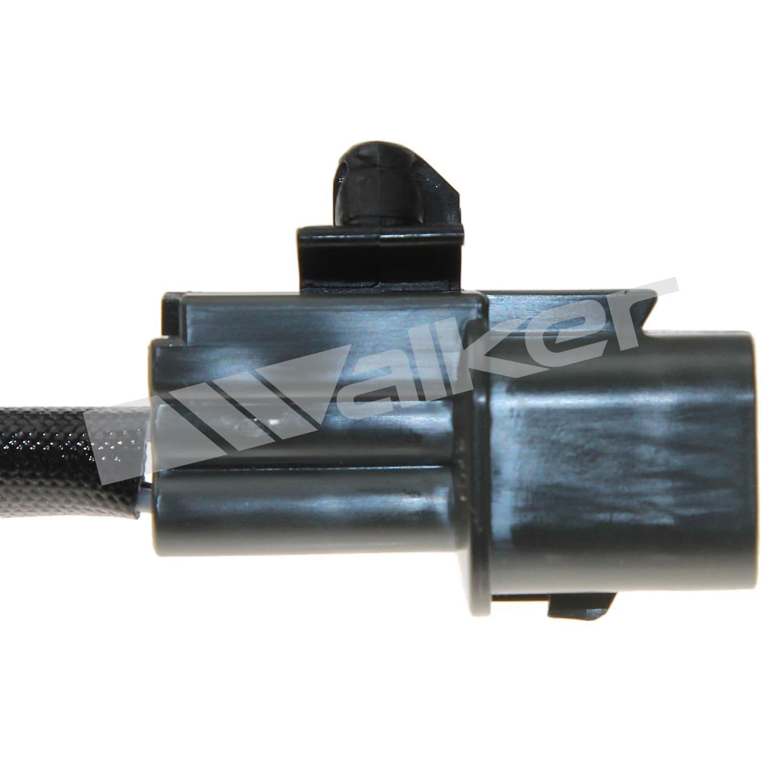 226-250-241148 - Image 3