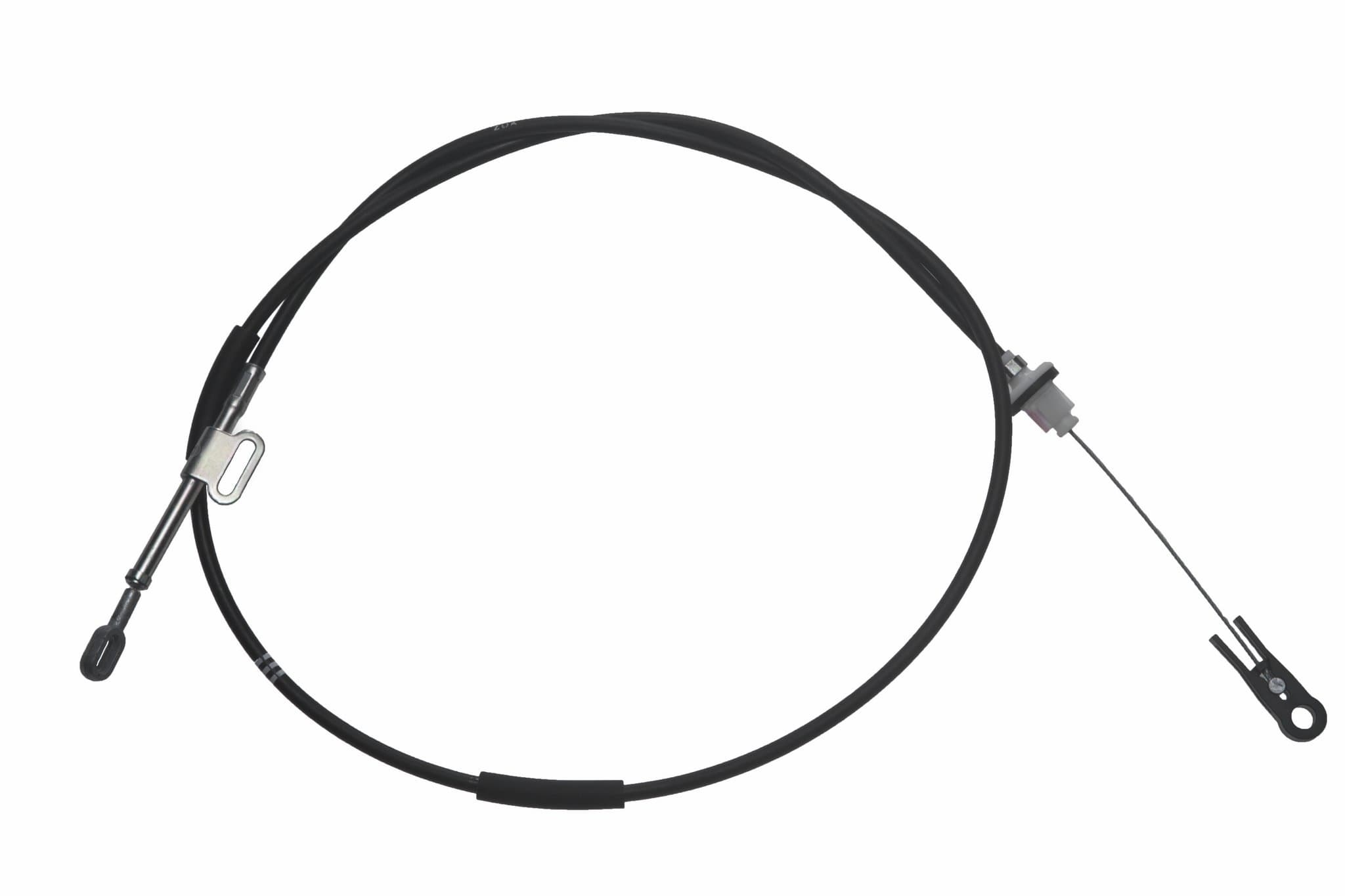 305-922-0145 - Image 2